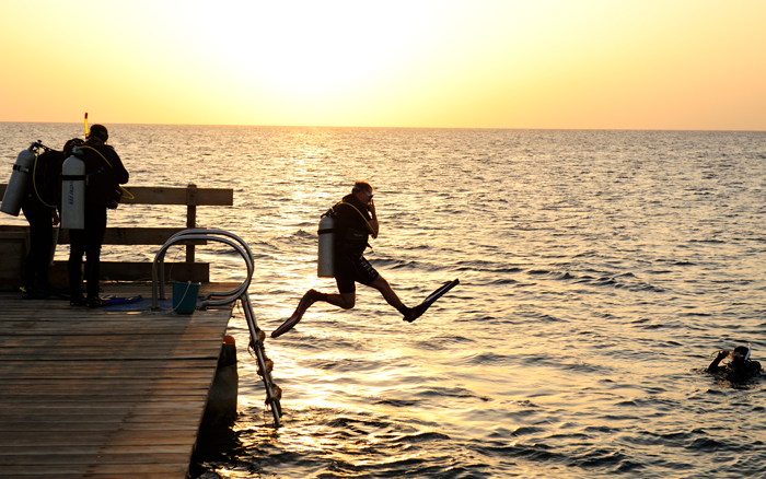 Jump-in-and-enjoy