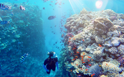 Dive-into-happiness