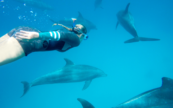 Swimming-with-dolphins